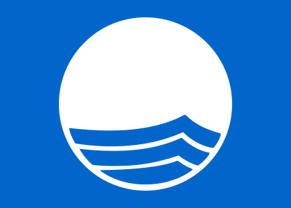 420px-Blue_Flag_Logo.svg